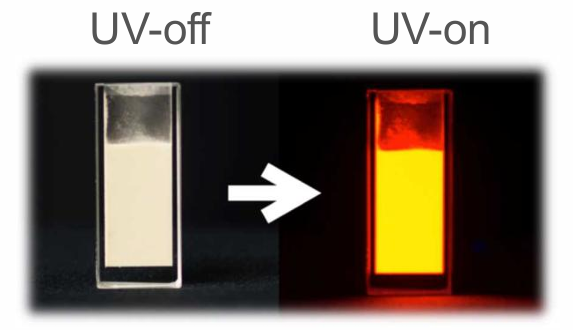 赤色発光体（紫外光励起型）