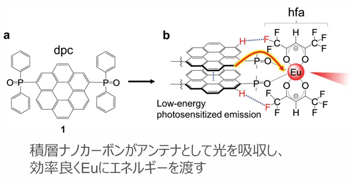 赤色発光体（青色光励起型）