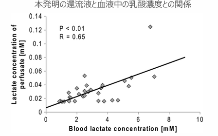皮膚微小還流システム