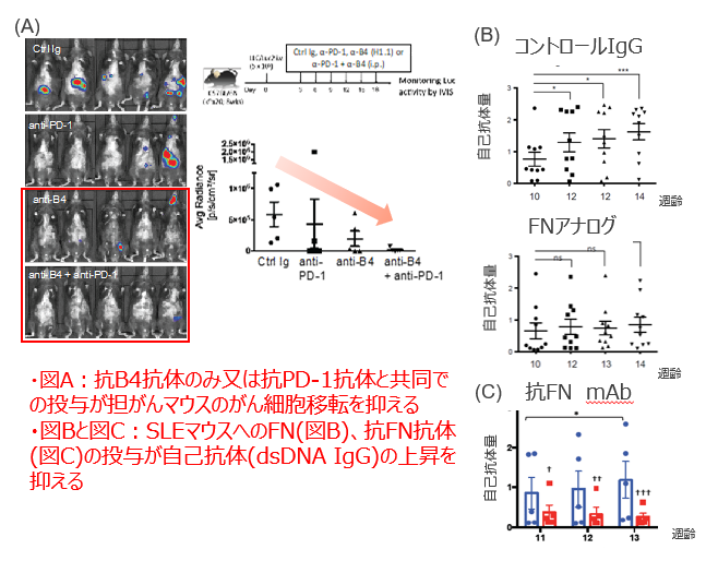 免疫チェックポイント阻害剤