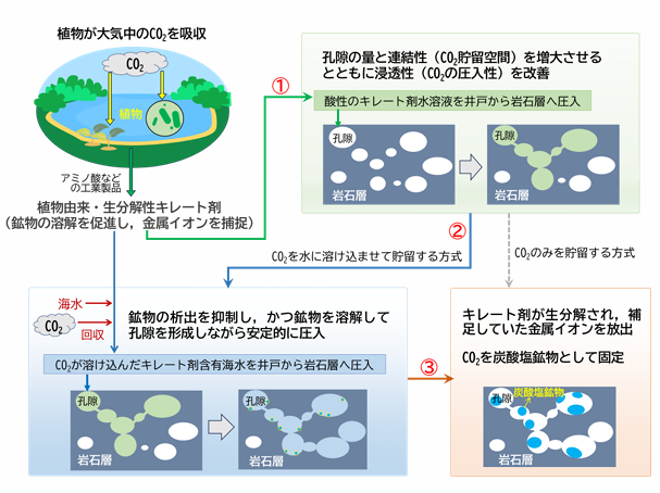 植物由来・生分解性キレート剤を用いた岩石溶解・CO2地中貯留・鉱物固定技術