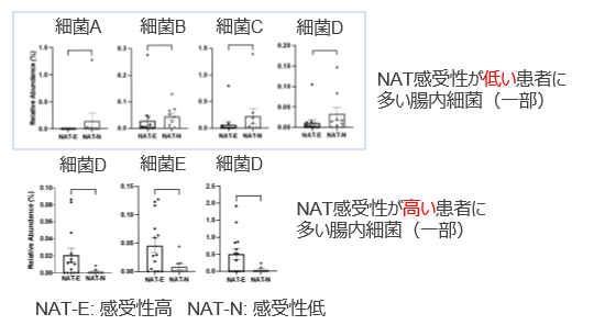 膵臓癌の化学療法の感受性予測方法