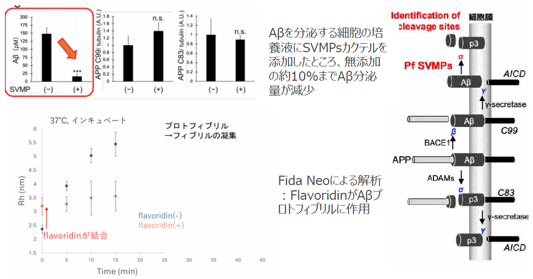 ハブ毒由来Aβ分解酵素