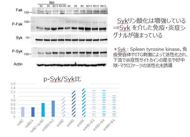 免疫チェックポイント阻害剤