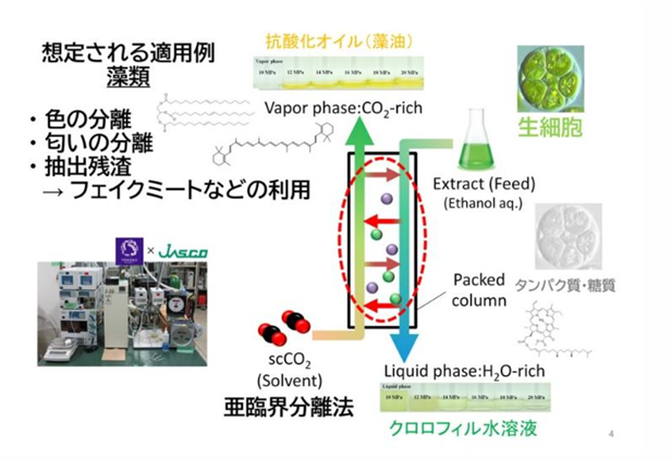 藻類成分のグリーン抽出技術