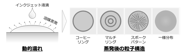 多層体及びその製造方法