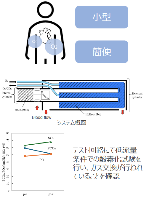 血管内駆動カニューレ型酸素化システム