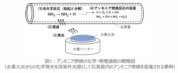アンモニア燃焼装置