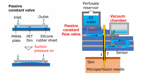 皮膚微小還流システム
