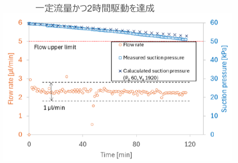 皮膚微小還流システム