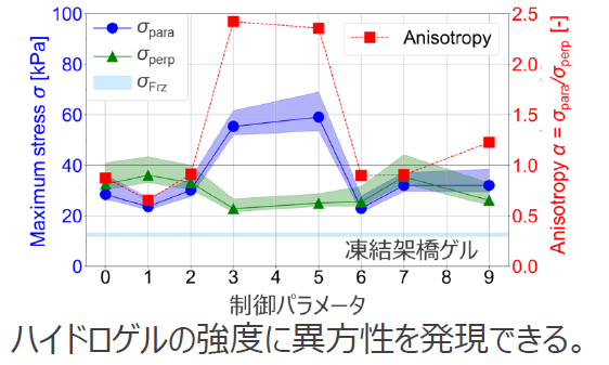セルロースナノファイバー(CNF)ゲルの創製