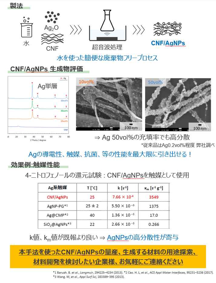 セルロースナノファイバー/銀ナノ粒子 複合体