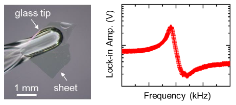 Light-driven actuator