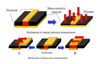 Sensor for simultaneous measurement of shear and pressure
        