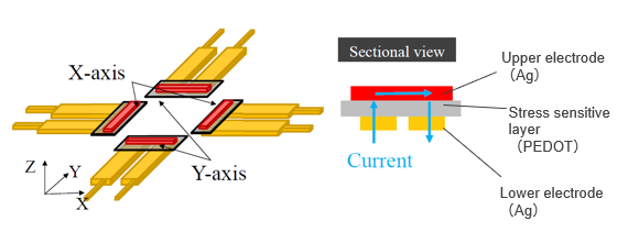 Layered sensor
        