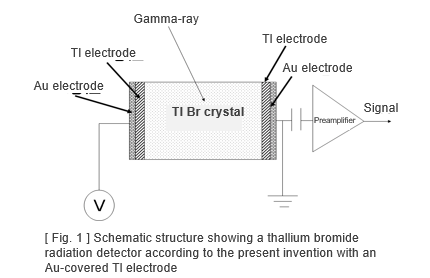 Permanent use type Thallium bromide radiation detector