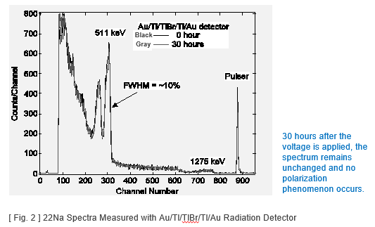 Permanent use type Thallium bromide radiation detector