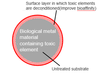 Open type Nanoporous body, surface treatment, composite