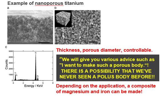 Open type Nanoporous body, surface treatment, composite