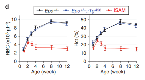 Epo-deficient GFP anemic mice