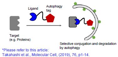 Cargo-specific degraders using selective autophagy