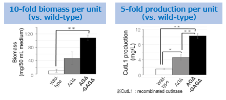 Fermentation of fully-dispersed filamentous fungi mutant