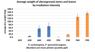 Balancing solar power generation and agriculture