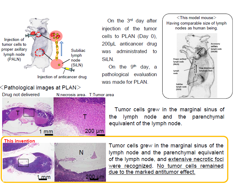 Lymphatic drug delivery system