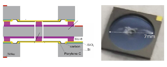 Electrostatic MEMS Speaker