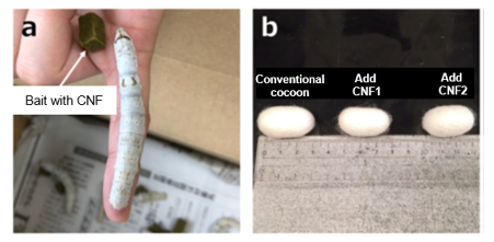 Silk thread with dispersion reinforced cellulose nanofibers