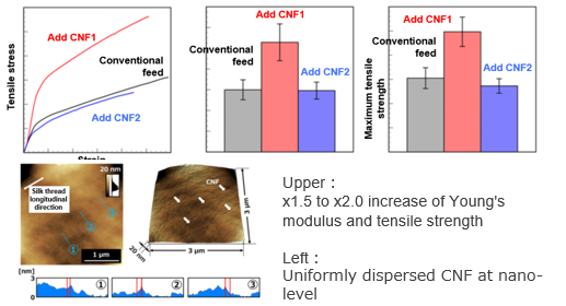 Silk thread with dispersion reinforced cellulose nanofibers