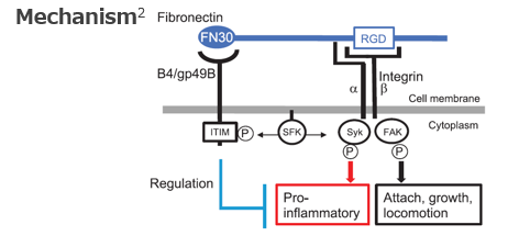 Immune checkpoint inhibitor