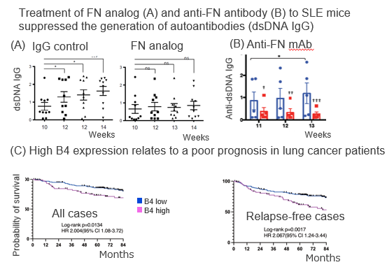 Immune checkpoint inhibitor