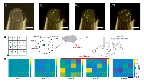 pH sensor probe for inspecting minute space