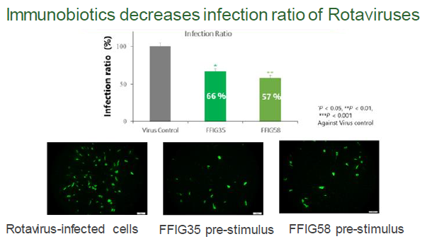 New Lactobacillus strain that enhance immune activity