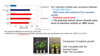 Rhizobia that reduce soil N<sub>2</sub>O