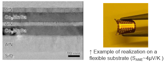 Polycrystalline Heusler alloy thin film