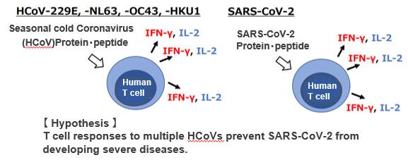 New method to assess severity risk of COVID-19 infection