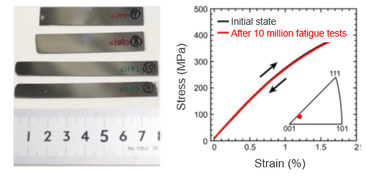 New CoCr alloys with low Young's modulus, high wear and corrosion resistance, and superelasticity