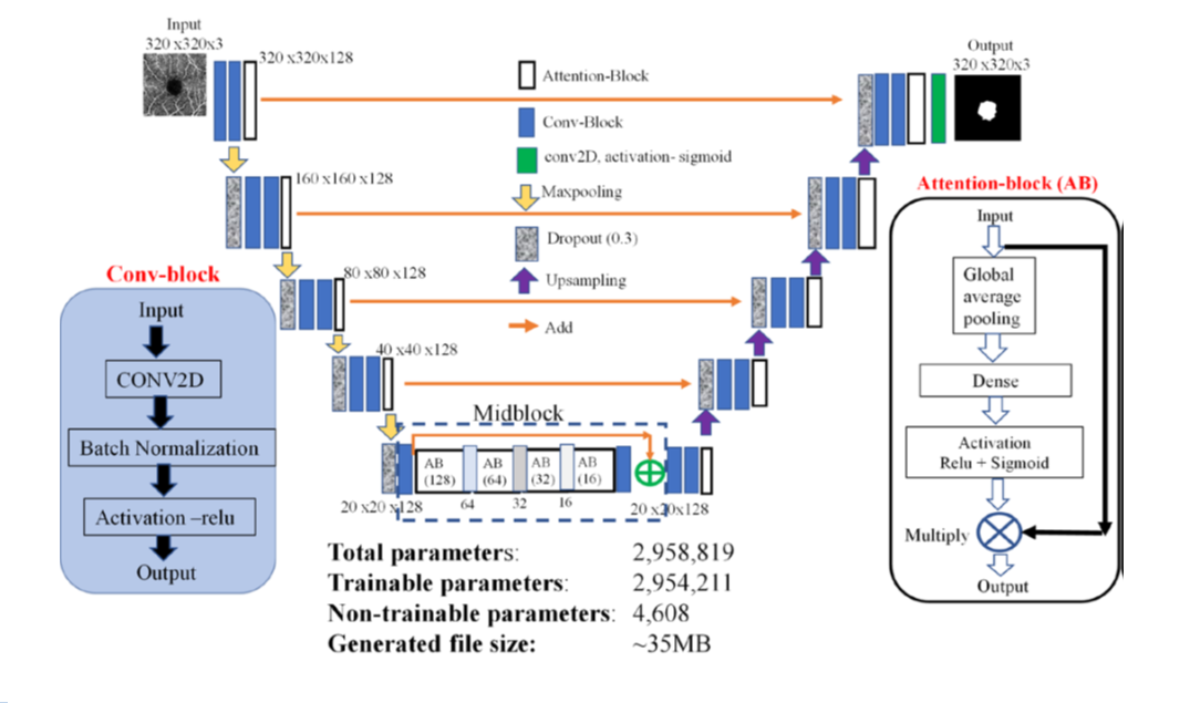 Biological image processing program