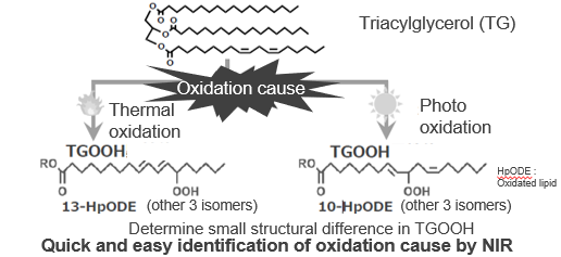 Identification method of the cause for fat and oil oxidation