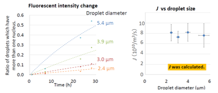 Quantitative analysis of amyloid nucleation from droplets