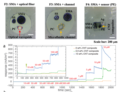 Multifunctional fiber less than 1 mm in diameter