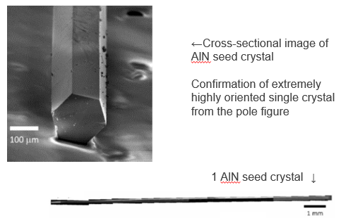 Single-crystal aluminum nitride seed crystal