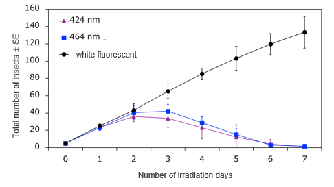 Insecticidal device that diffusely irradiates blue LD