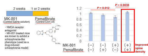 PPARα agonists that improve cognitive function