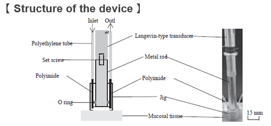 Cell Collection Device from Mucosal Tissue