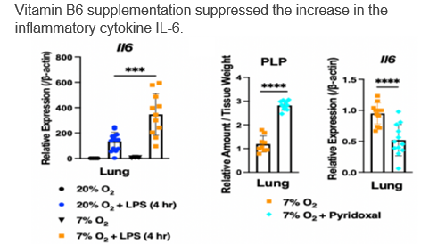 An anti-inflammatory drug for patients suffering from chronic hypoxia