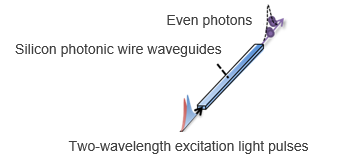 Squeezed Light Generator