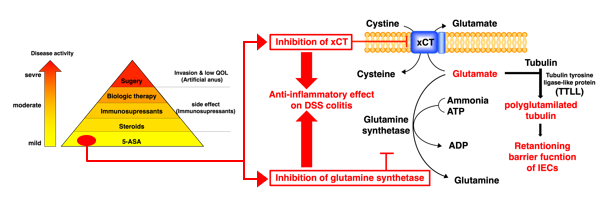 The Treatment and Prevention of Inflammatory Bowel Disease